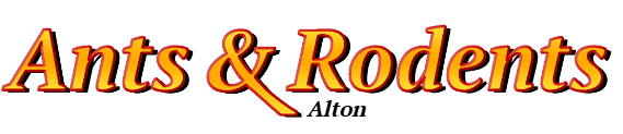 Alton Ant Exterminator & Rodent Control Company Logo